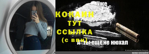 гашик Белокуриха