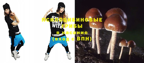 гашик Белокуриха
