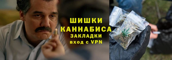 гашик Белокуриха