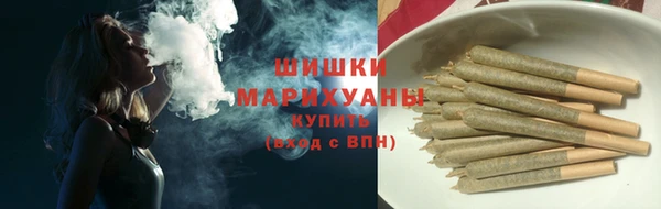 гашик Белокуриха