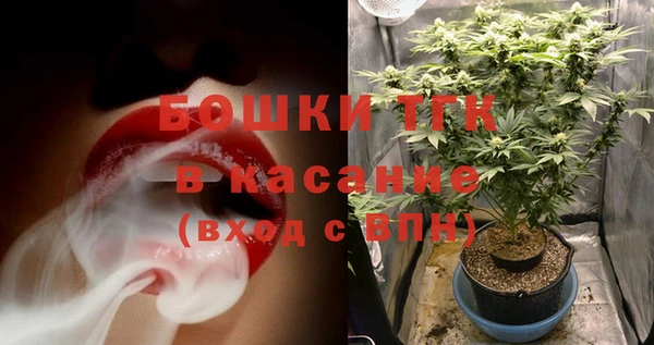гашик Белокуриха